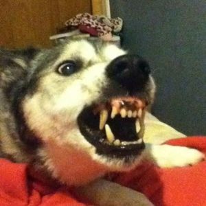 Meet your Posher, Jj